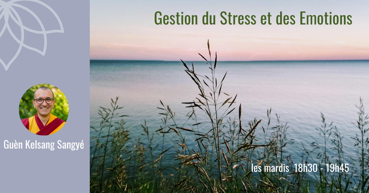 2526 – Gestion Stress et Emotions Toulouse